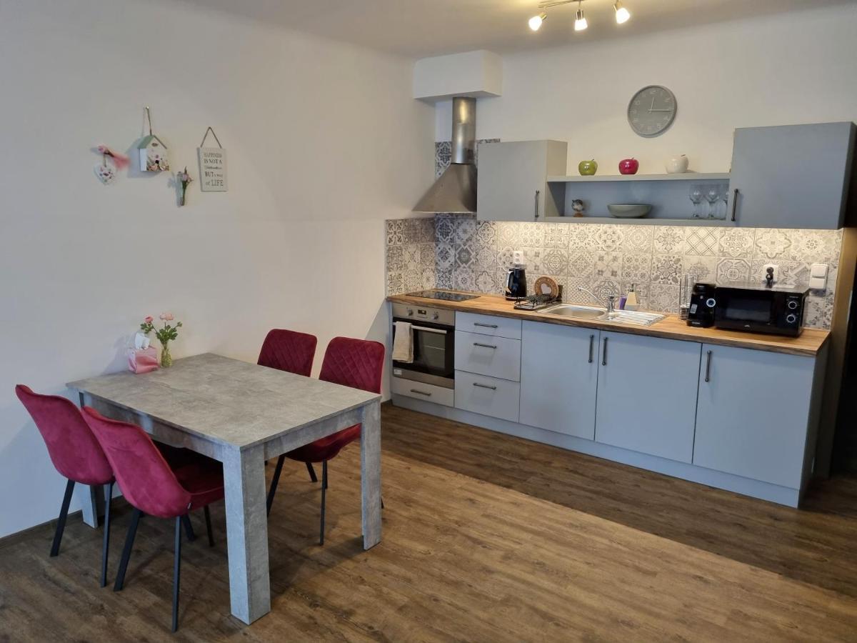Velke Studio Na Velkem Namesti S Vybavenou Kuchyni Hradec Králové Zewnętrze zdjęcie